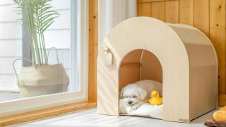 Yeosu Dangdangi Dog Family Pension Gold - 6