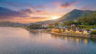 Yeosu Dangdangi Dog Family Pension Gold - 1