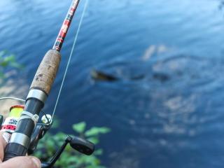 Holiday Home Virsuniemi by Interhome - 1