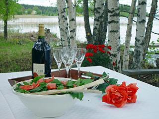 Holiday Home Monaco by Interhome - Pätiälä - 1