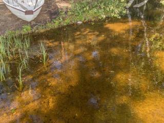 Holiday Home Valkealammi by Interhome - 6