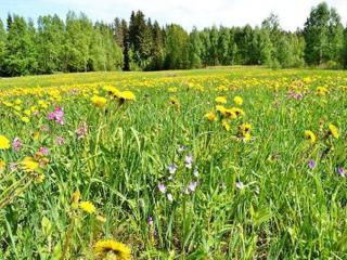 Holiday Home Kuikka by Interhome - 7