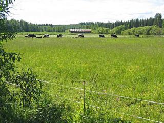 Holiday Home Pikkutupa by Interhome - 2