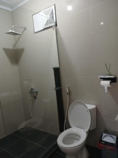 Orangutan Trekking - 0