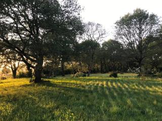 Eco-Gîte en Brocéliande - 9
