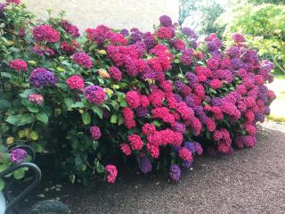 Eco-Gîte en Brocéliande - 6
