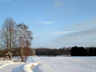 Holiday Home Villa vuorikotka by Interhome - 5