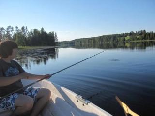 Holiday Home Viljamaan lomamökit 1 by Interhome - 4