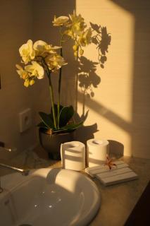 Kubu Daje - Comfortable New Villa in Canggu - 5