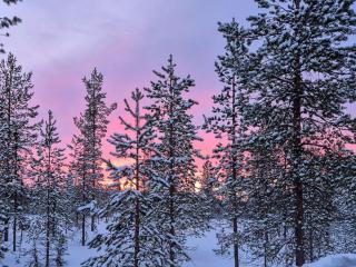 Holiday Home Päivänsäde 8 lapinkulta by Interhome - 3