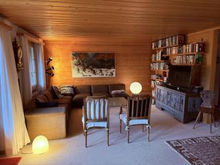 Apartment Fabiana by Interhome - Zweisimmen - 1