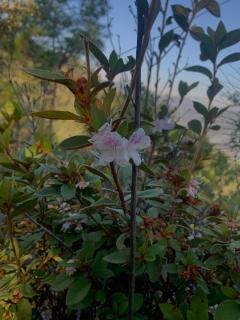 Joyful Haven Home - 6