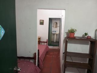 Herminia Sol paloma - 8