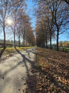 Au coin des champs - Gîte à la ferme - Le Fenil - 8