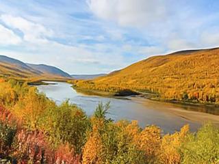 Holiday Home Karetörmä by Interhome - 4