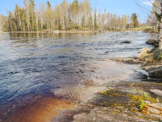 Holiday Home Käpälysmökki by Interhome - 1