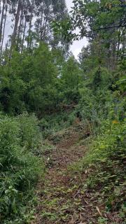 Paraíso Rustico 3 - 2