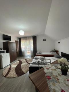 Casa de Oaspeti Cristian - 8