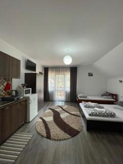 Casa de Oaspeti Cristian - 7