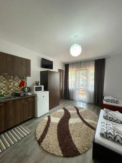 Casa de Oaspeti Cristian - 6