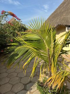 Villa Giara-Private & Cozy Villa in Saly Centre - 5