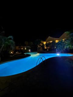 Penthouse Prikichi D2 - 7