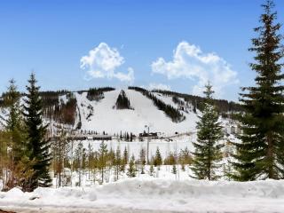 Holiday Home Pieni kiiruna by Interhome - 3