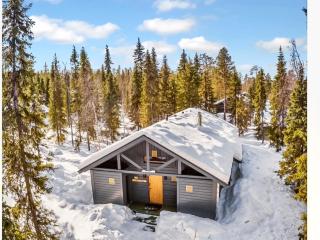 Holiday Home Sinikuono by Interhome - 9