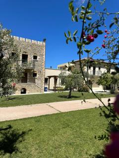 Villa Kalamos / Sea View and Pool nearby Athens - 8