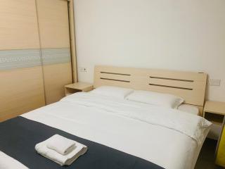 森林城市一个主人房加 2 个小卧室 - 7