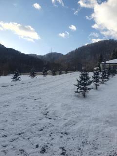 EDEN HOUSE Viseu de Sus - 9