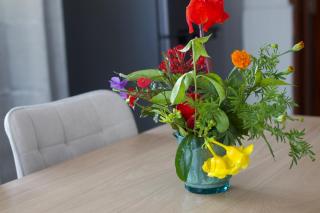 Beny SeaBeach Residence - 6