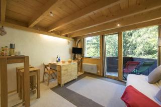 Résidence Grand Roc - Ancolies 104 - Happy Rentals - 9