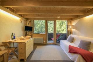 Résidence Grand Roc - Ancolies 104 - Happy Rentals - 7