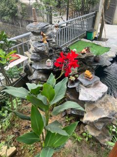 Trang An Haven & Tranquil Homestay - 6