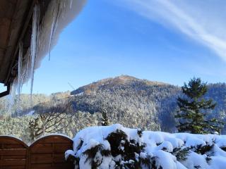 Czaple znad popradu - 9