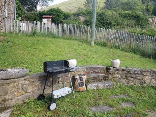 Mas cévenol calme et spacieux - 0