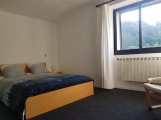 Mas cévenol calme et spacieux - 6