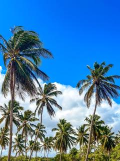 Pousada Beira dagua - 6