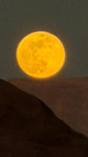 HALA RUM Luxury camp & Bubbles Hotel - 1