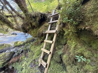 Refugio Indómito - 3