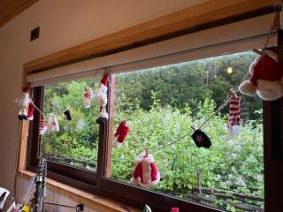 Refugio Indómito - 2