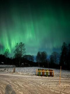 The Green House Guesthouse - 2