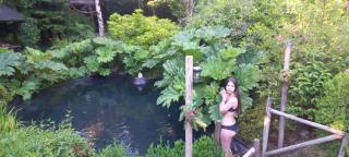 Pucón Magic forest - 8