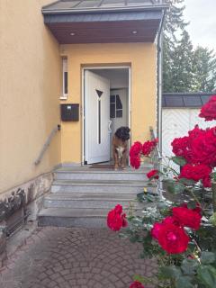 Bei der Villa Doppelzimmer - 0