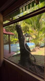 Cabañas Luz de Luna - 0