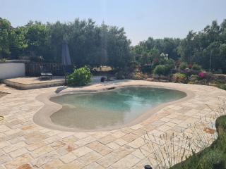 *Lastavica* - Žarović - 2