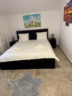 Pensiunea Casa Văduva - 0