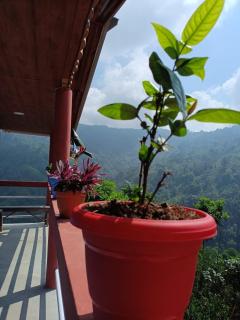 Damphu Homestay - 6