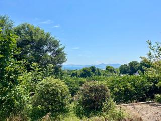 The Standard Inn Onomichi-Ikuchijima - 0